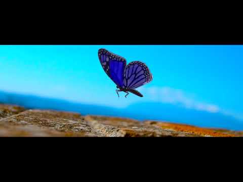 Promozione Territorio - Spoltore