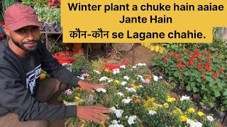 Winter Plants Guide: Kaun-Kaun se Paudhe Lagaye Sardiyon Mein