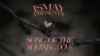 Original Stop-Motion Video, 'Song of the Mourning Dove' premiers today!