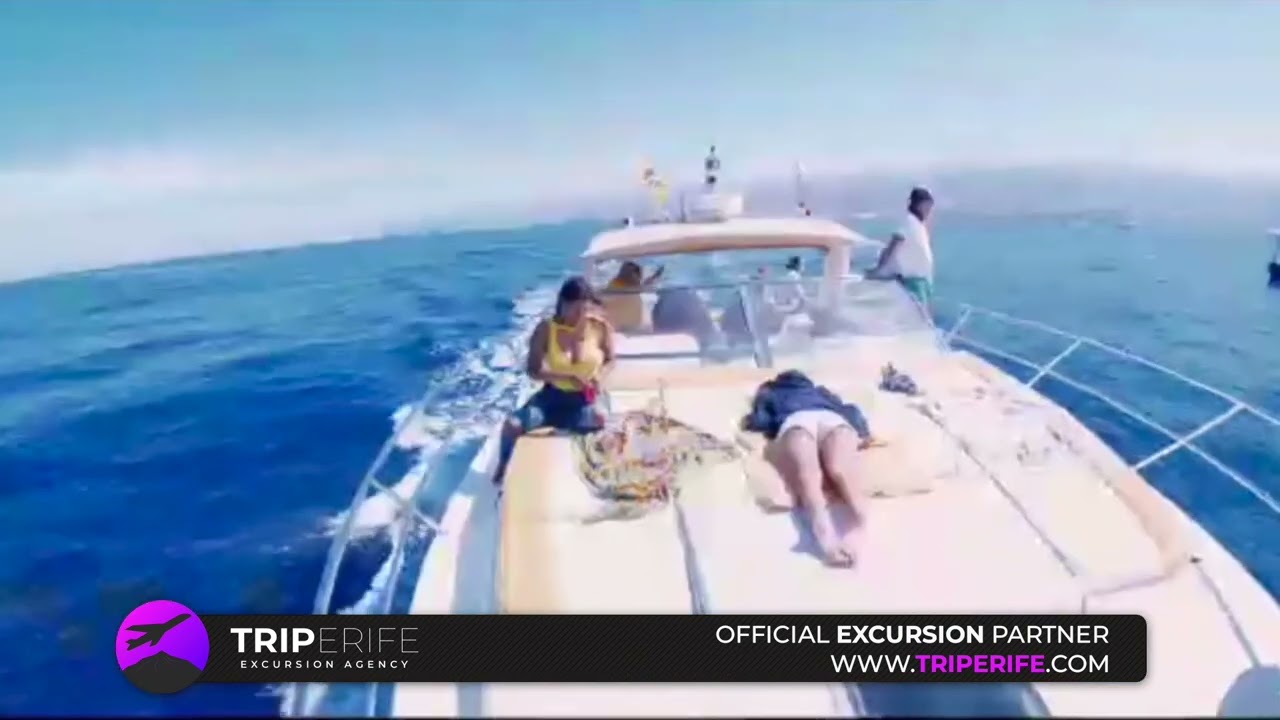 tenerife boat trips video