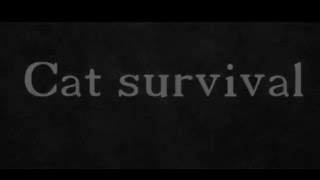 Cat Survival gameplay