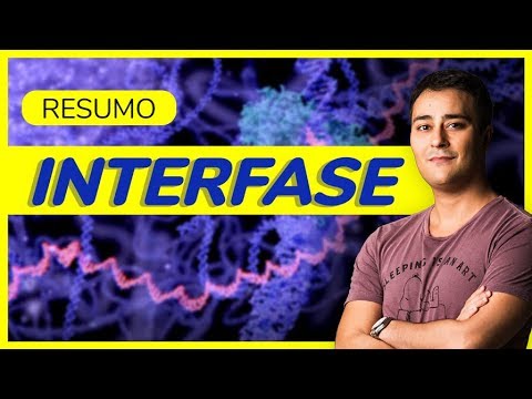 Ciclo Celular: Interfase | RESUMÃO | Prof. Paulo Jubilut