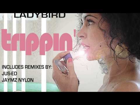 Rob Salmon Feat. LadyBird "Trippin" (Original)