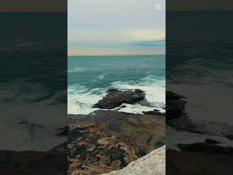 Sydney beach life #nature