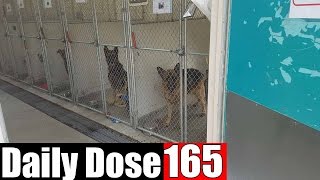 #DailyDose Ep.165 - PUPPY HUNTING+MAV PUNISHMENT! | #G1GB