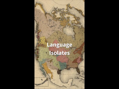 What are language isolates?