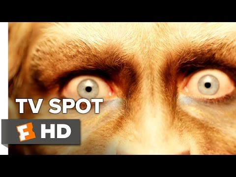 Beauty and the Beast  TV Spot - Now Playing in 3D and IMAX (2017) - Emma Watson Movie