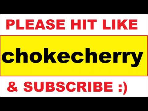 HOW TO PRONOUNCE chokecherry