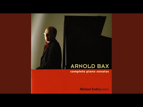 I. Allegretto moderato e feroce