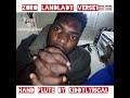 Zoro Landlady Cover Flute Version VERSE1