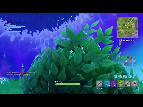Video preview