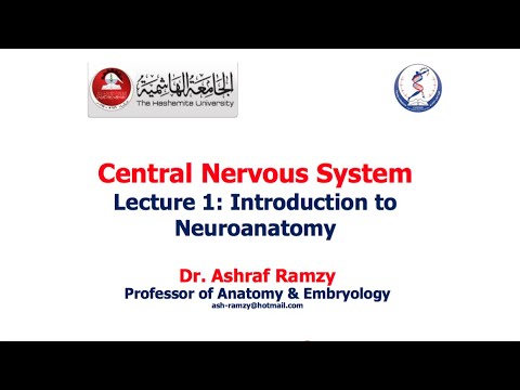 Lecture 1 - Introduction to Neuroanatomy - (CNS)