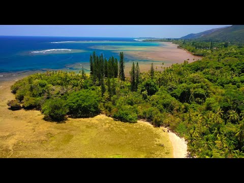 NEW CALEDONIA, Grande Terre : Amazing Planet (4K) 2020
