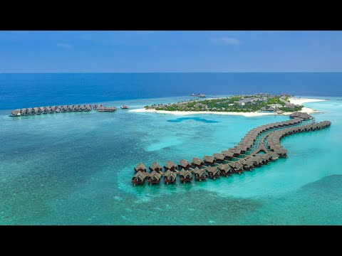 Videos del Heritance Aarah 5★ en Atolón Raa, MaldivasVer MásVerPrecios16CerrarConsulta por Whatsapp 🇦🇷BookingTripadvisorExpediaAgodaTravelocityOrbitzTripSkyscannerDespegarHotelesDestiniaTrivagoTurismocityLastminuteTuiWotif