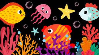 Baby Sensory Video – High Contrast for Newborn – Sensory Videos for Babies - Infant Tummy Time #baby