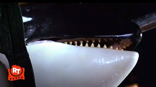 Free Willy - Willy's Freed from His Tank!