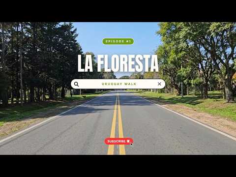 A Real Errand Walk in Uruguay | Costa Azul to La Floresta on a Sunny Day |  4K