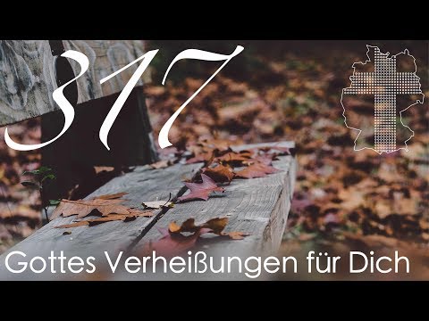 Gottes Verheißungen für Dich - Epheser 4,24 | Videokalender 317/365 - Deutschland braucht JESUS
