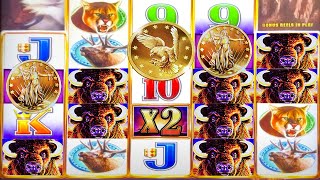 GIANT COINS ➤ BIG WIN ➤ BUFFALO CHIEF