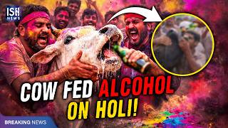 Haryana Men Force-Feed Alcohol to Cow on Holi
