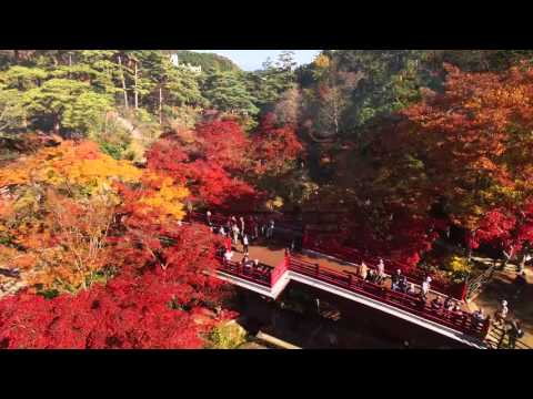 【NIIGATA-SORADORI】日本の風情を感じて　弥彦公園・もみじ谷の紅葉　弥彦村