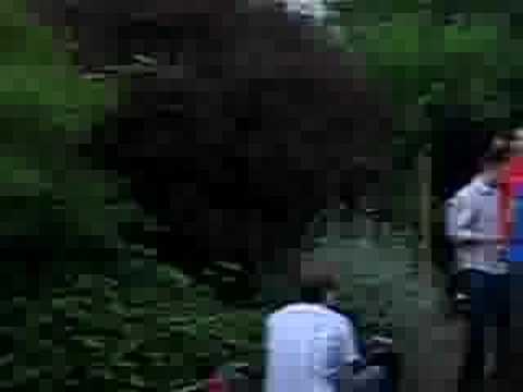 Too Hot 20 Dead Camels Richfest 2006