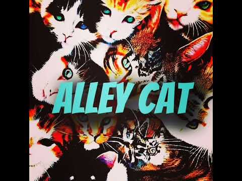 alley cat (instrumental)