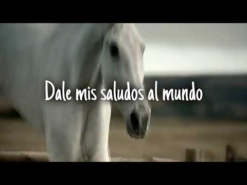 Twenty wild horses - Status Quo (subtitulos en español)