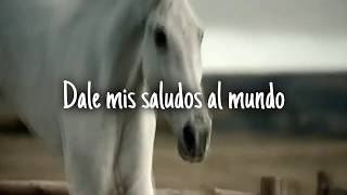 Twenty wild horses - Status Quo (subtitulos en español)