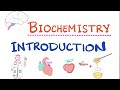 Comprehensive Biochemistry Overview: Metabolism, Enzymes, and Amino Acids Explained