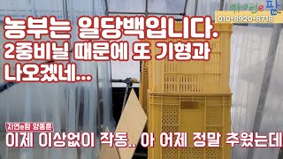 농민은 일당백 이젠 전기시설도 알아서 착착착!!! 날씨 추웠는데 2중비닐이 작동을 안해 2화방 또 기형과 맞…