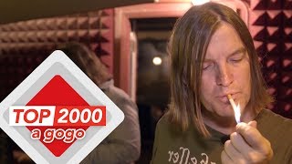 The Dandy Warhols - Bohemian Like You | The story behind the song | Top 2000 a gogo