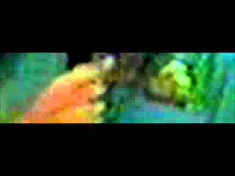 DEF CON 9 - Bruce Schneier Answers Questions *