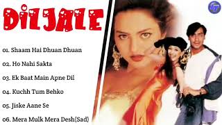 Download lagu Dil Jale Full Movie Songs Lagu India Ajay Devgan... mp3