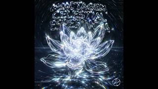 MONTAGEM CELESTIAL ESPERANZA