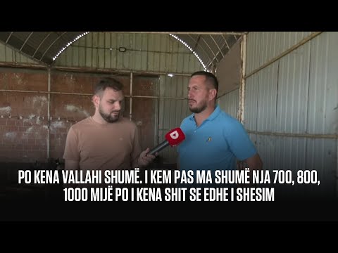 Fermeri nga Lipjani që kujdeset për 300 pulat e tij