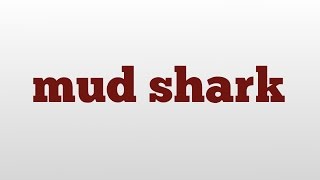 mud shark meaning and pronunciation