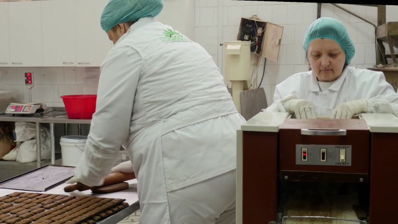 Biocosmos   Storytelling Employment and Income 1