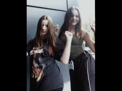 Pitbull Terrier (TikTok trend)