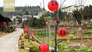 La experiencia de China contribuye a la reducción de la pobreza mundial