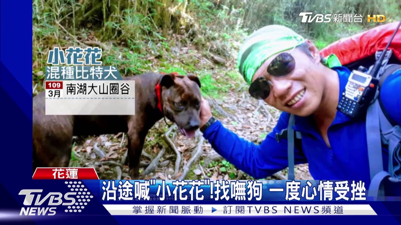 終下山!60時搜尋 比特犬小花花順利安置