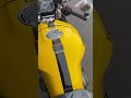 ヤマハ XSR900 GP 