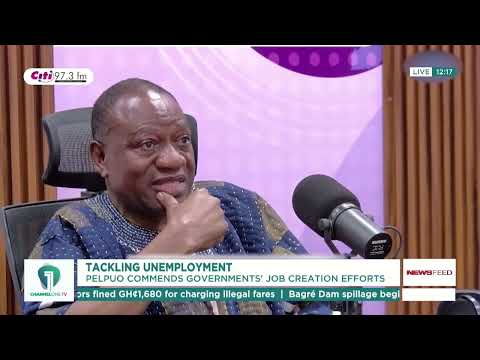 Pelpuo Defends Government’s Job Creation Record Amid Unemployment Concerns