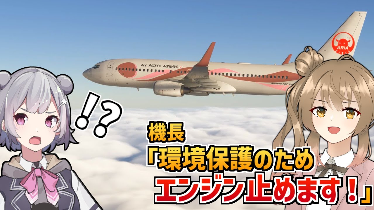 全然サステナブルじゃない航空会社です【Microsoft Flight Simulator 2024】