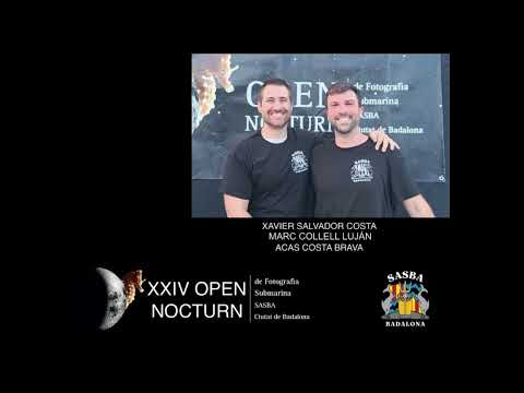 Guanyadors del XXIV Open Nocturn de Fotografia Submarina SASBA