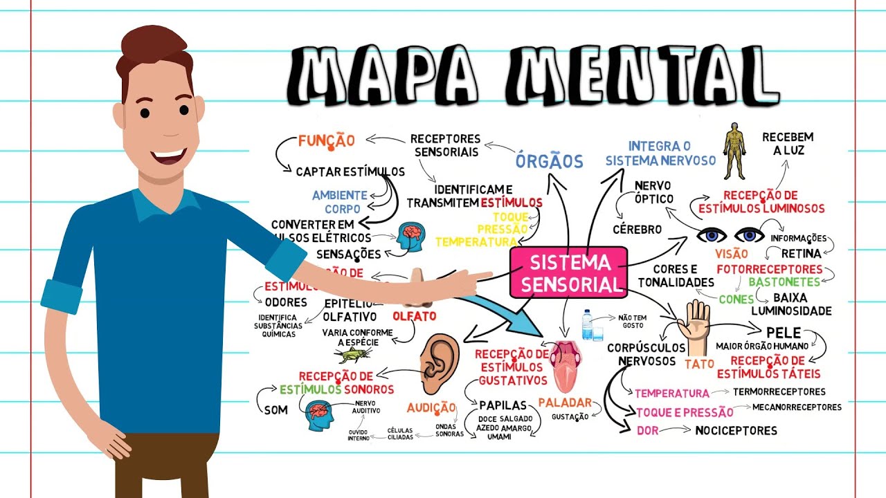MAPA MENTAL -  SISTEMA SENSORIAL