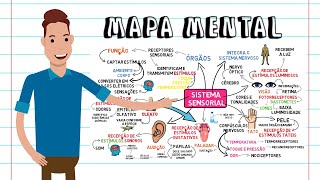 MAPA MENTAL -  SISTEMA SENSORIAL