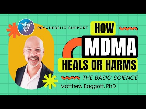 How Does MDMA Heal or Harm? Basic Science of Therapeutic Potential