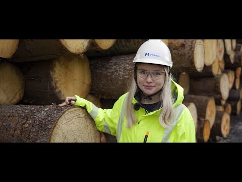 Så fungerar ett sågverk