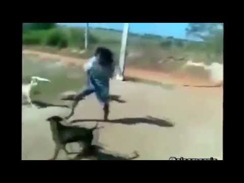 El secreto del puente viejo 1191